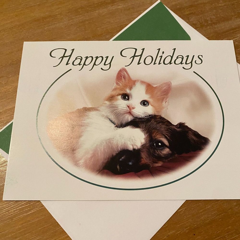 Richard Stacks Kimball Stock Cat & Dog‎ Happy Holiday Christmas Greeting Card